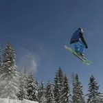 Skihirsch